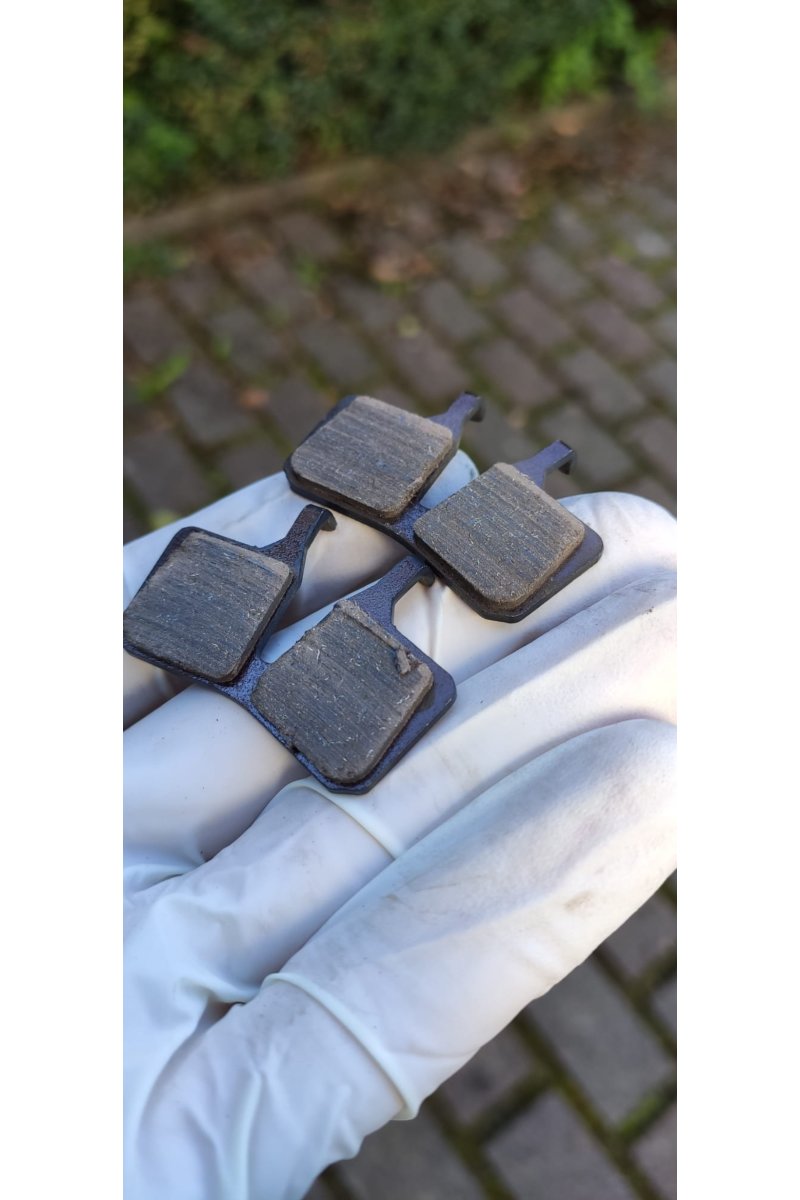 radon-bel%C3%A4ge-jealous-hybrid