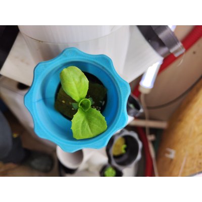 erste-woche-3d-tower