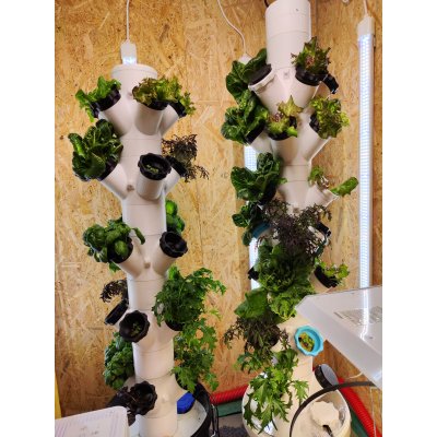 woche-sieben-hydroponic-tower